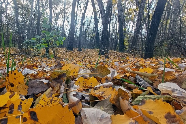 Održana redovna godišnja skupština PSK "Spartak" Subotica