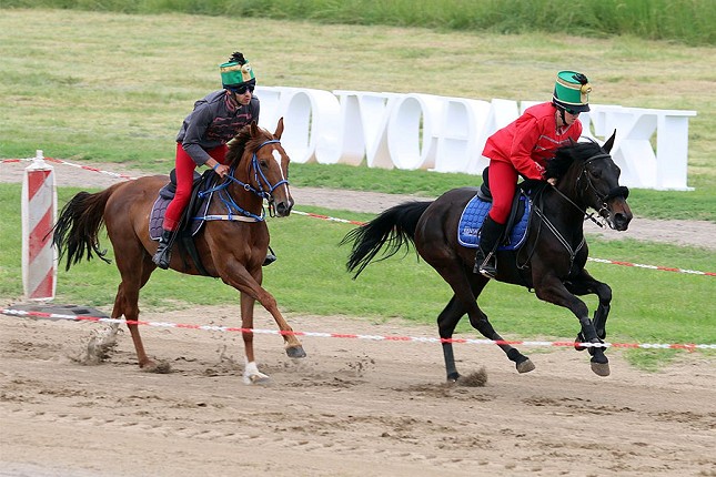 Konjički sport: 12. "Vojvođanski galop" u subotu na Gradskom hipodromu