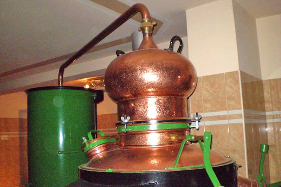 Šampion u proitzvodnji rakije