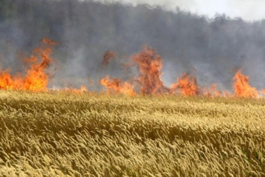 Opasnost od požara na njivama veća nego ikad