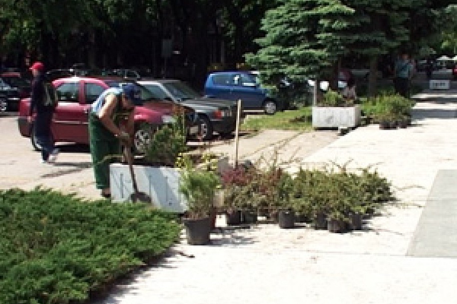 Parking ozelenio 10 žardinjera