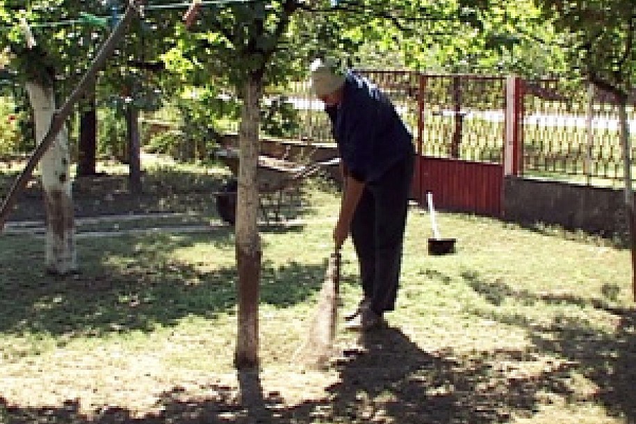Zaposlenje osoba sa invaliditetom
