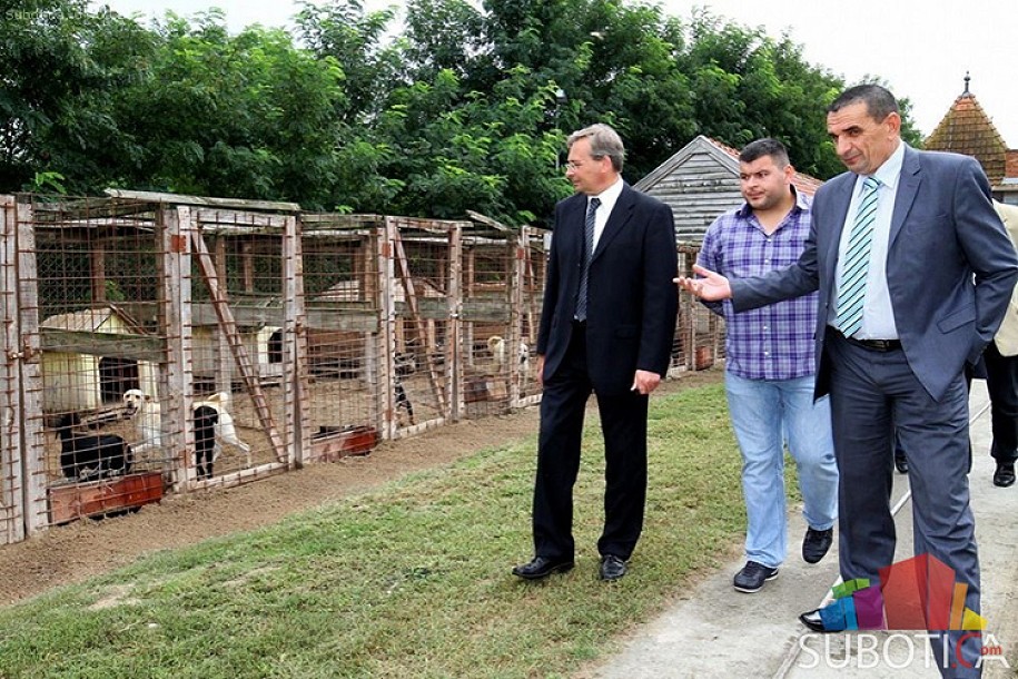 Azil za pse ponovo radi