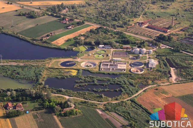 Eko-volonterska radna akcija "Zajedno za jezero Palić"