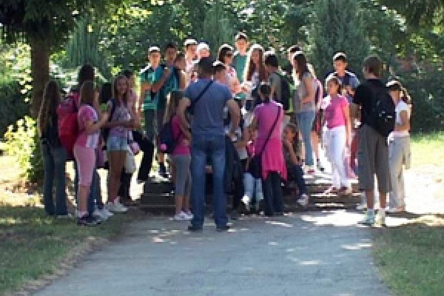 Deca iz Starog Žednika na Dejvis kupu