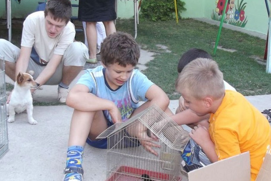 Dečji osmesi u čarobnom dvorištu