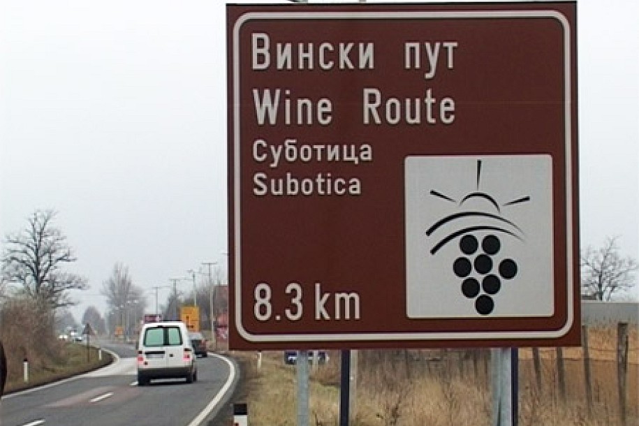Putevi vina u Subotici