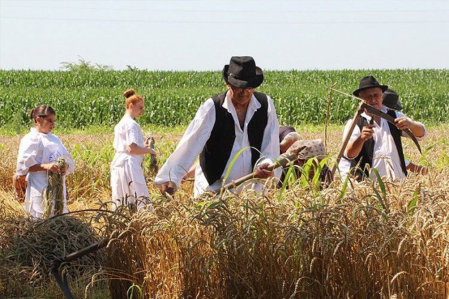 Održan tradicionalni Ris u Bajmoku