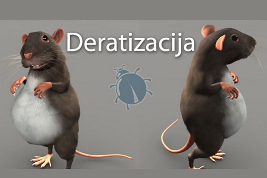 Deratizacija počinje u ponedeljak