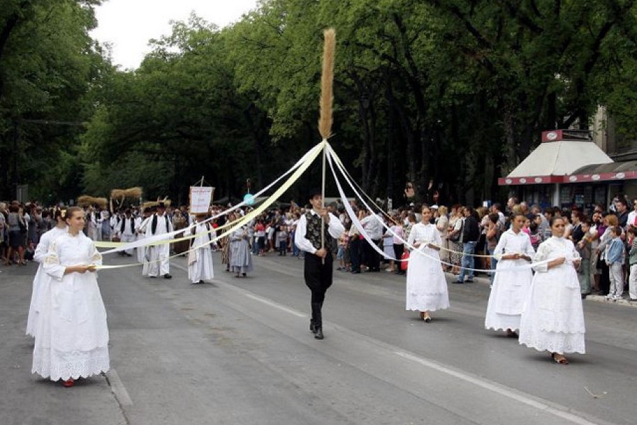 Organizator Dužijance u stečaju