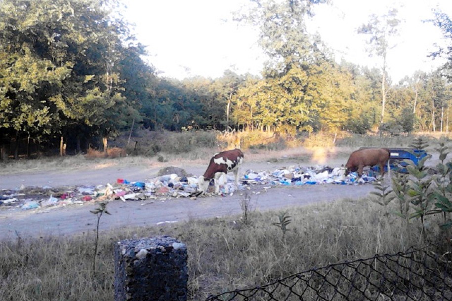 Problemi sa odlaganjem smeća