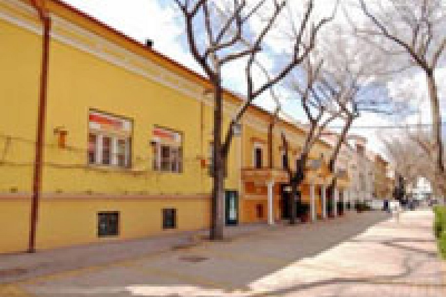 Kulturni genocid u Subotici