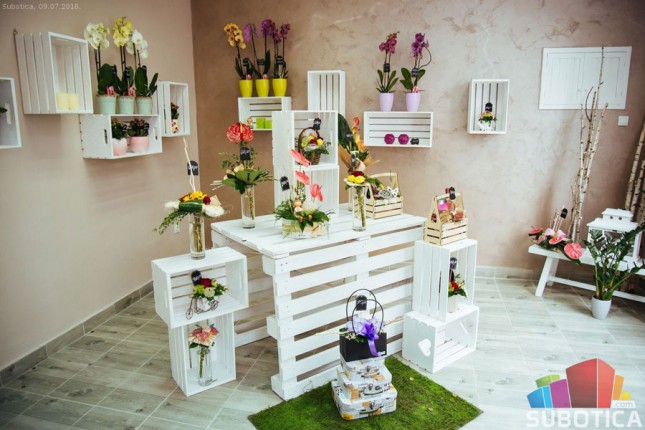 "Red Rose": Kažite cvećem, što ne možete rečima