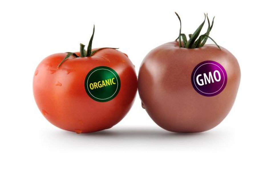 Subotica bez Genetski modifikovanih organizama (GMO)