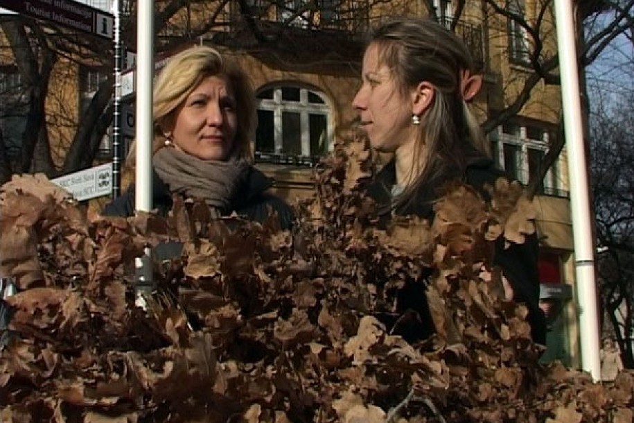 Omladina DSS-a delila badnjake građanima
