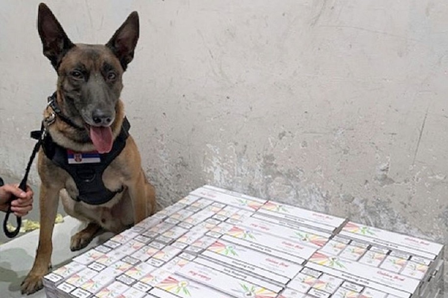 Švercovao cigarete, carinski pas ga otkrio, pa je priznao šta nelegalno prenosi