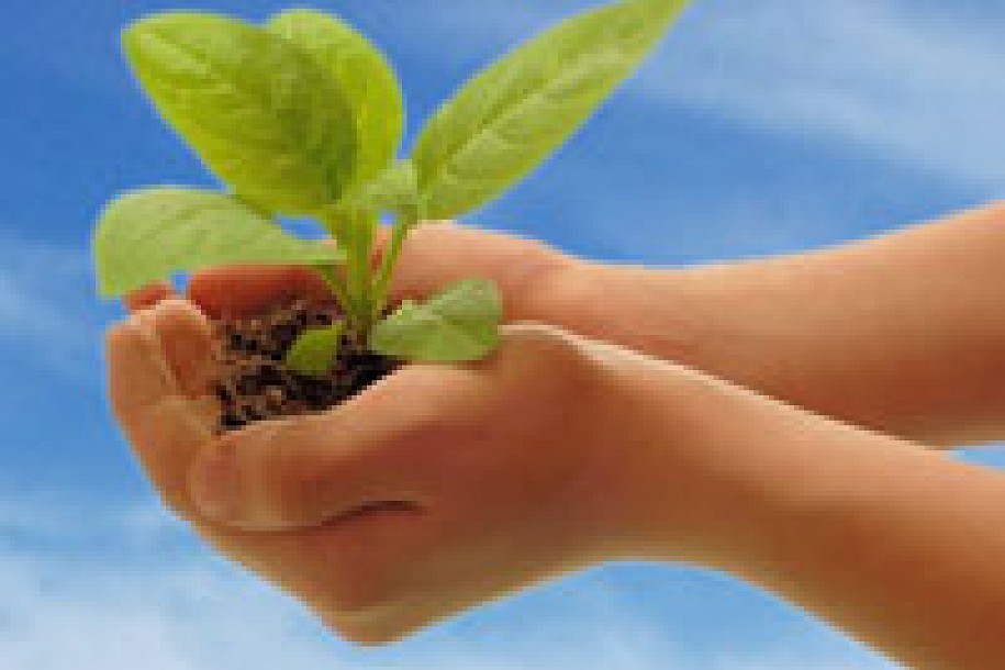 Očistimo svoju okolinu