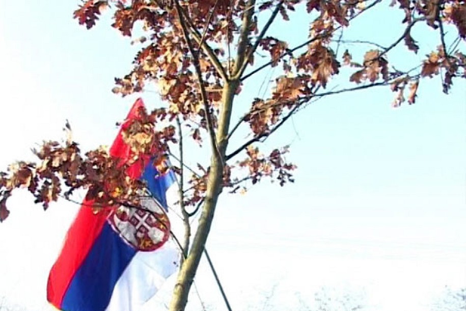 SKC "Sveti Sava" tradicionalno organizuje seču badnjaka