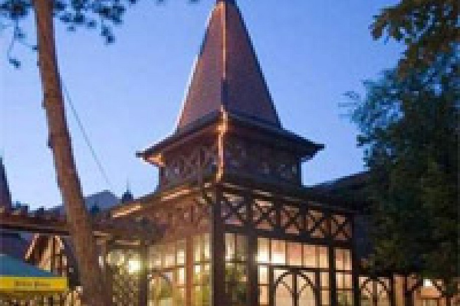 Gradonačelnikov humanitarni bal