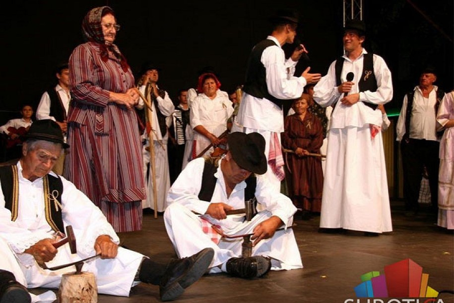 Dužijanca 2013: Polaganje venaca, Skupština risara i folklor