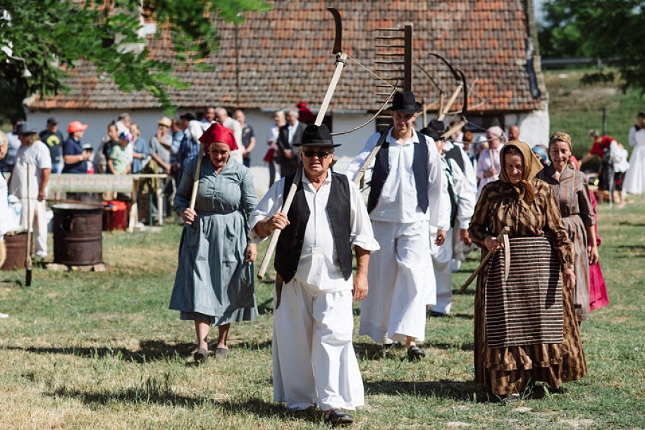 Održano tradicionalno košenje žita – ris, deo proslave "Dana Dužijance"