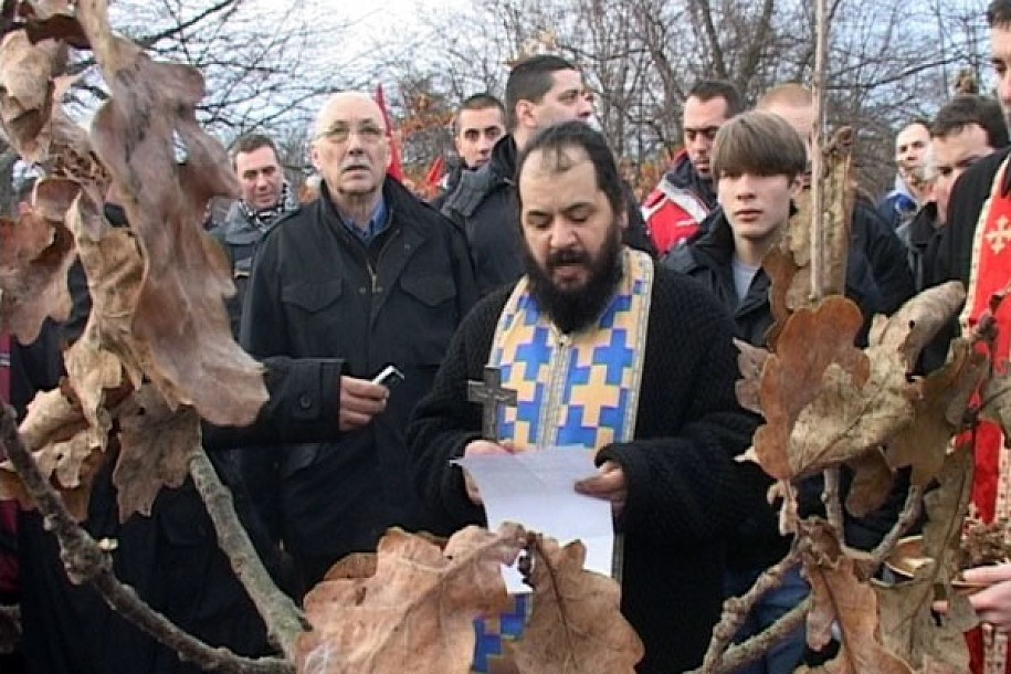 Seča Badnjaka