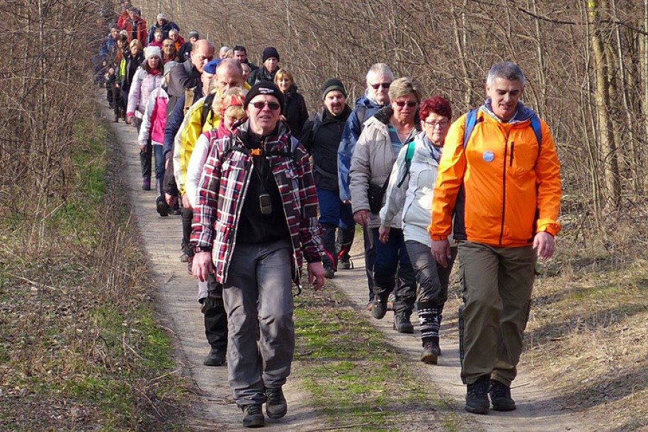 Pešačenje oko jezera Palić u sklopu obeležavanja Svetskog dana voda