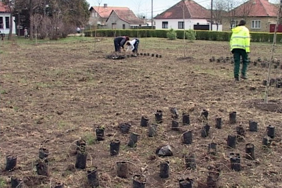 Revitalizuje se park u Bajmoku na Rati