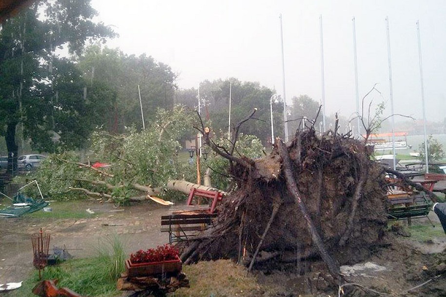 Jako nevreme na Paliću čupalo drveće i prevrtalo plovila