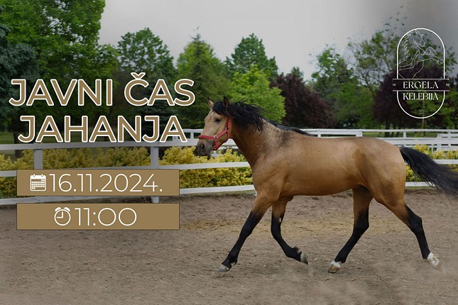 Javna škola jahanja na Ergeli Kelebija