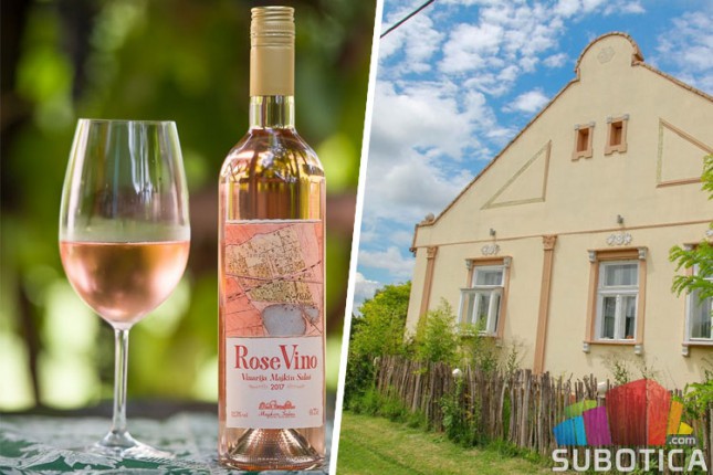 Vinarija "Majkin salaš" - poslastica za sve ljubitelje vina