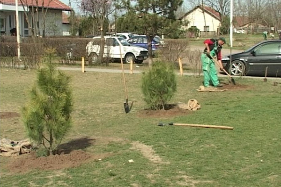 Uređuje se park u Peščari