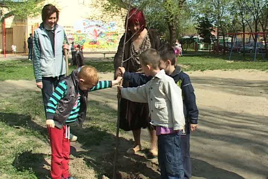 Kolo srpskih sestara ozelenjava vrtić "Mandarina"