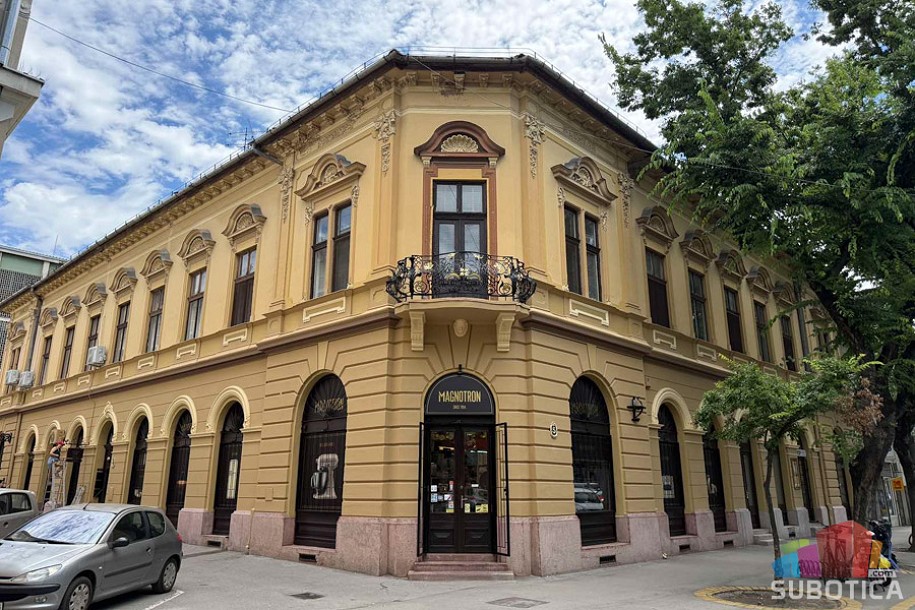 Četke, boja i dobra volja: Ovako građani menjaju Suboticu