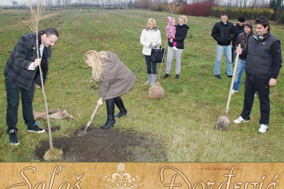 Mladenački i dečji šumarak na salašu Đorđević