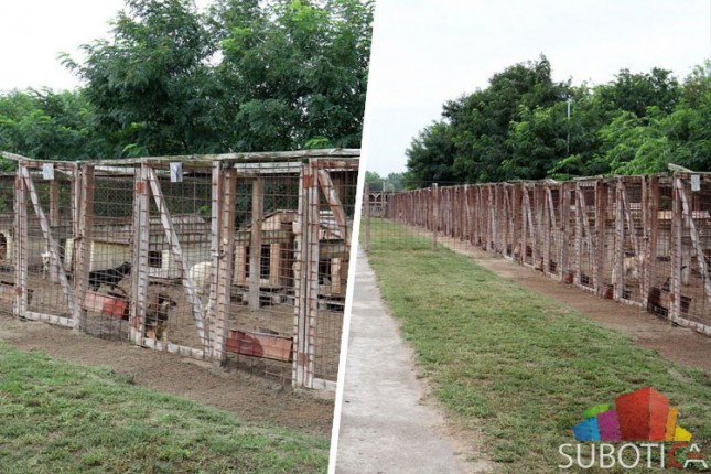 Prihvatilište za pse počinje sa radom tokom aprila