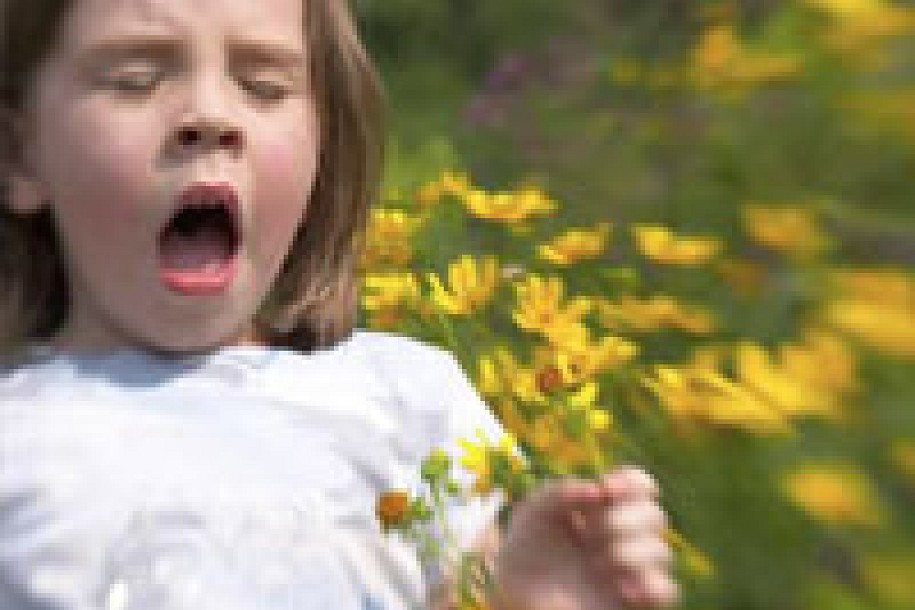 30 odsto Subotičana alergično