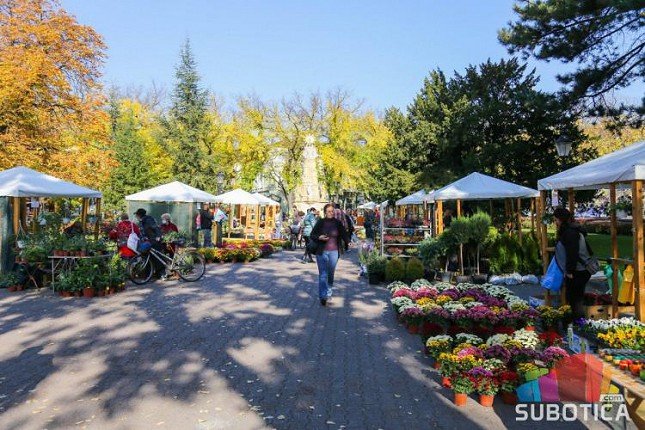 „Garden Flora“ ukrasila plato kod Plave fontane