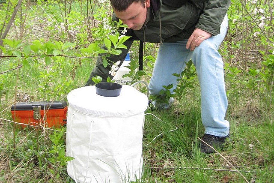Prisustvo komaraca konstatovano, sledi zaprašivanje