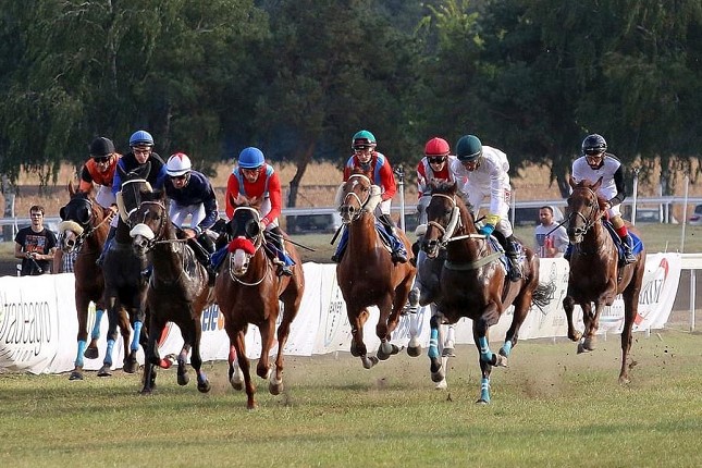 "Zobnatičke konjičke igre" 24. septembra na Ergeli "Zobnatica"