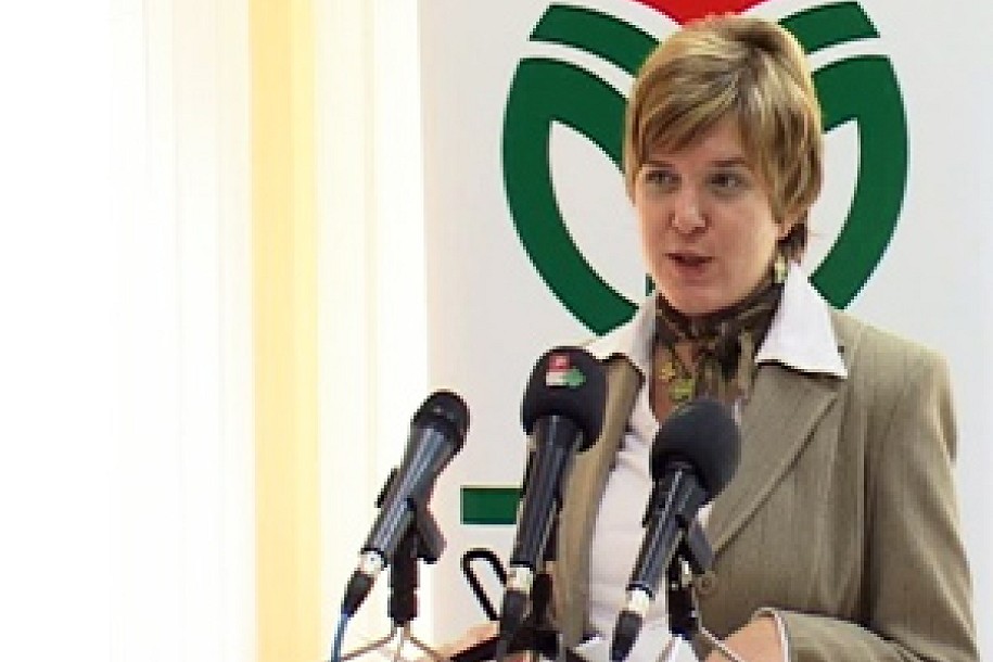 Elvira Kovač na zasedanju Saveta Evrope o psihičkom nasilju