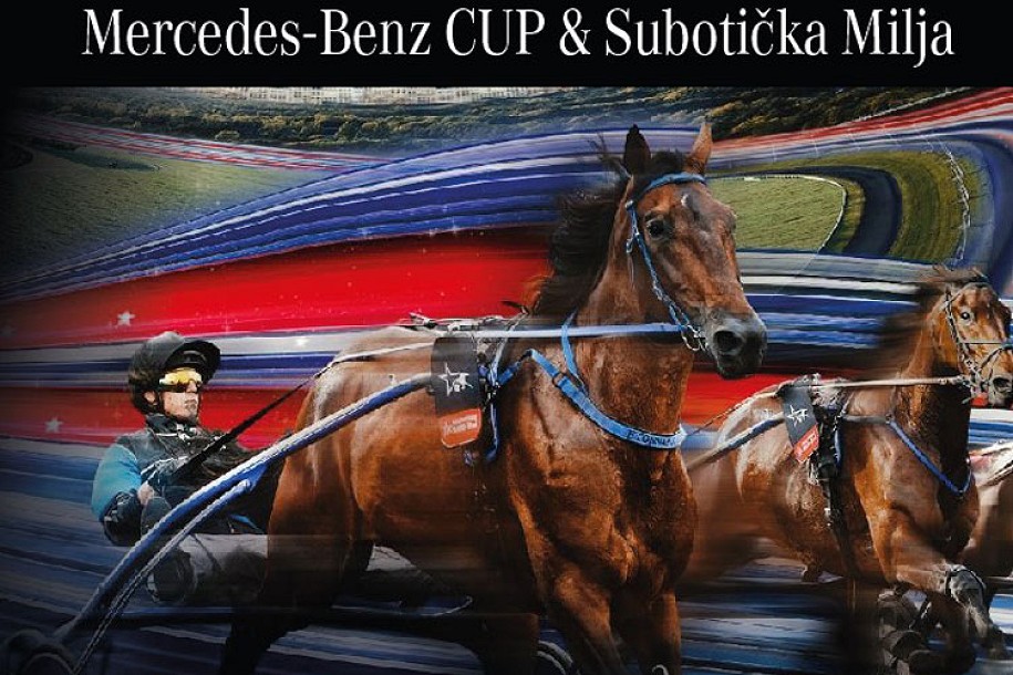 Konjički sport: "Subotička milja" i "Mercedes Benz Kup" u subotu na Hipodromu
