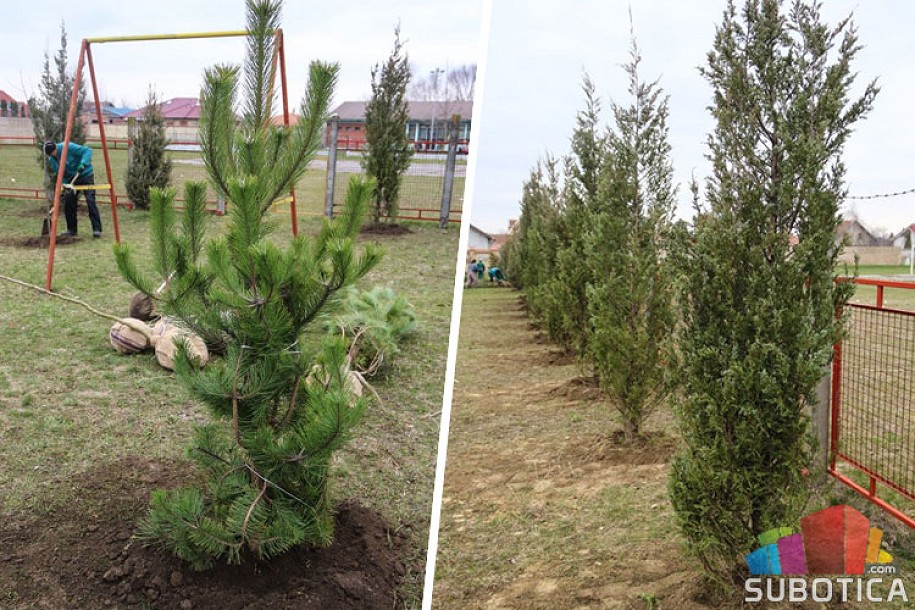 Počelo ozelenjavanje dvorišta objekata PU "Naša radost"
