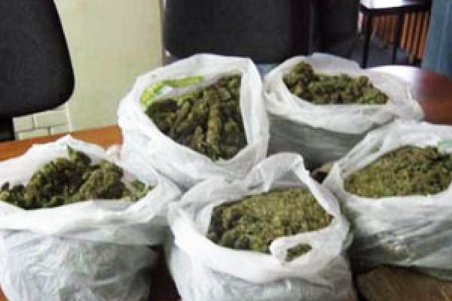 Uhapšena grupa sa 6 kilograma „skanka"