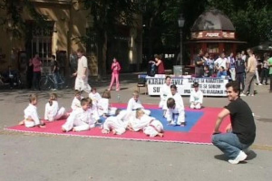 Karate prezentacija u centru grada