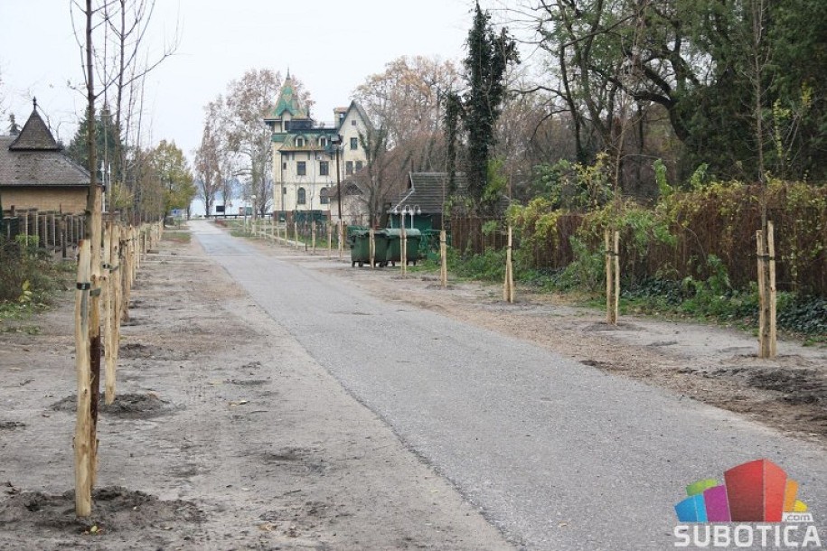 U Jezerskoj ulici zasađene nove sadnice klena i jasena