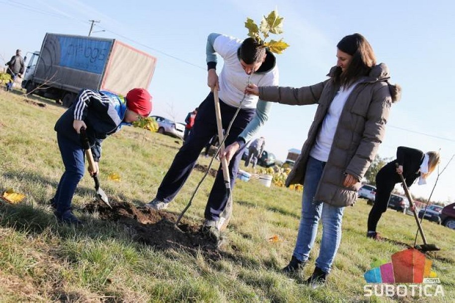 Novo oplemenjavanje životne sredine u nedelju - sadiće se preko 400 mladica jasena i javora