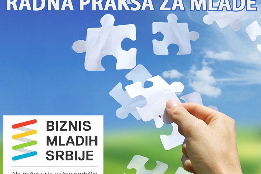 Radna praksa za mlade