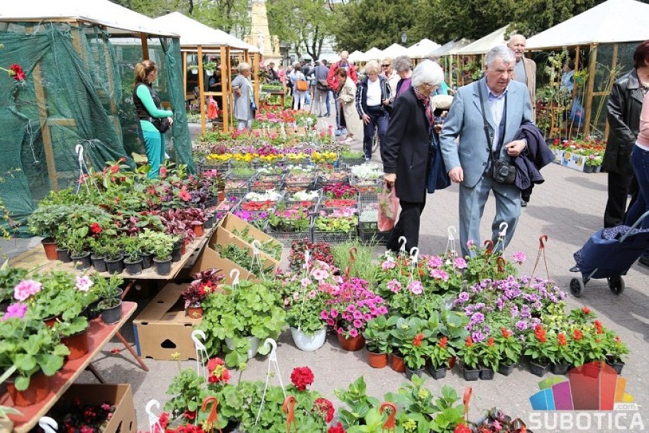Izložba i vašar baštenskog cveća i sadnica od 19. do 22. aprila u centru grada