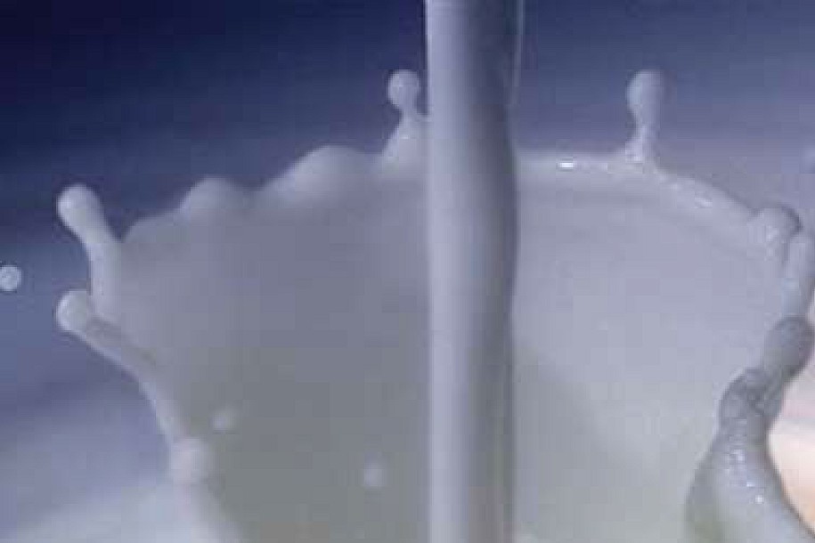 Tražimo zabranu uvoza mleka u prahu, SVM